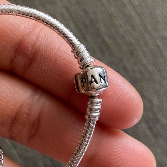 Pandora Snake Bracelet with Colorful Fantasy Love Rainbow Charms Jewelry EUC - Picture 10 of 14